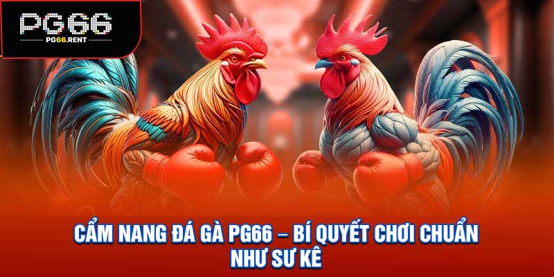 Cẩm Nang Đá Gà