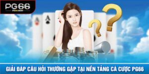 Câu Hỏi Thường Gặp