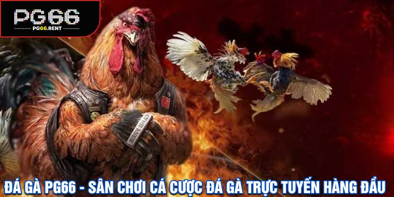 Đá Gà PG66
